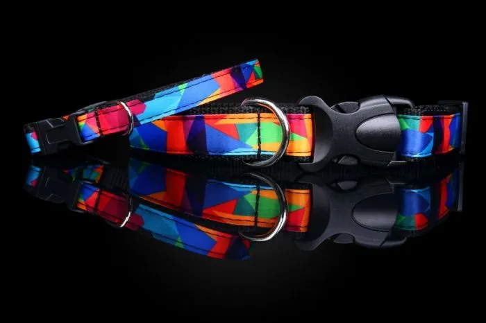 Hundehalsbånd, Kacpadi