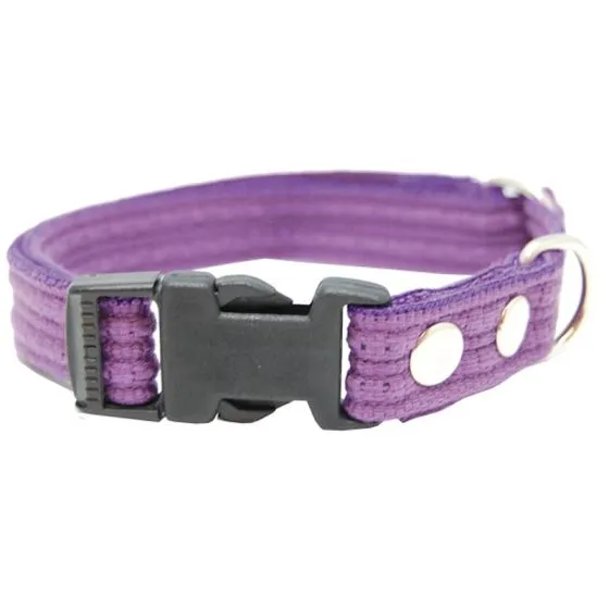 Hundehalsbånd i polyester