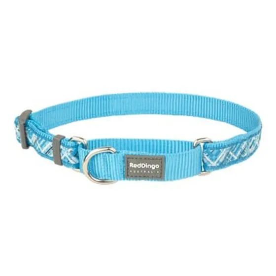 Red Dingo Hundehalsbånd, Turkis