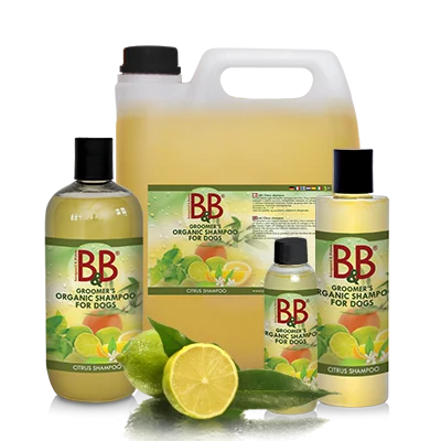 B&B Shmapoo Citrus