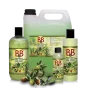 B&B Shampoo med Jojoba