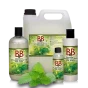 B&B Shampoo med Melisse