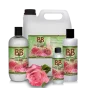 B&B Conditioner med Rose
